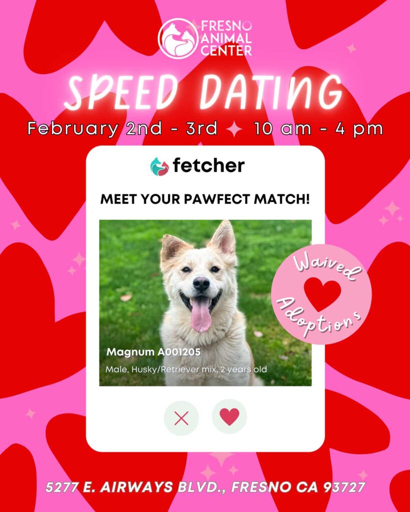 speed_dating_flyer